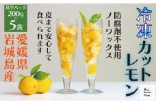 瀬戸内産 カットレモン冷凍　200g×5パック＜2026年2月中旬～順次発送＞＜冷凍便＞数量限定【1510157】