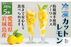 瀬戸内産 カットレモン冷凍　200g×5パック＜2026年2月中旬～順次発送＞＜冷凍便＞数量限定【1510157】