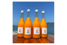 ＜訳あり＞愛媛 シュガーファームの丸搾りみかんジュース ストレート720ml×4本【1500837】