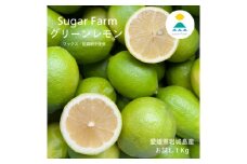 ★お試しセット★シュガーファームのグリーンレモン1Kg ワックス・防腐剤不使用 特別栽培認定レモン【1547307】