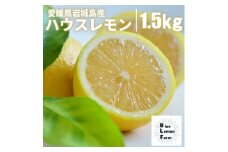 愛媛　ブルーレモンファームのハウス栽培レモン　約1.5kg　＜2024年11月中旬～順次発送＞【1557177】