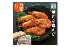 急速冷凍活きな車えび＜有頭5～6尾(約170g)×2袋セット＞【1576828】