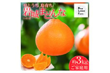 岩城まどんな　約3kg＜限定35箱＞ご家庭用　※紅まどんなと同品種【1581787】