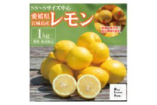愛媛　ブルーレモンファームの訳ありレモン　1kg　＜冷蔵便＞期間・数量限定【1619476】