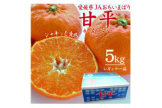＜先行受付＞人気柑橘　甘平(かんぺい)レギュラー箱　5kg　愛媛県　JAおちいまばり【1622635】