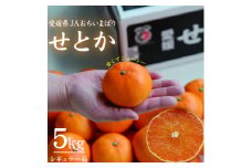 ＜先行受付＞せとか　レギュラー箱　5kg　愛媛県JAおちいまばり【1622636】