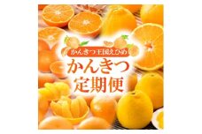 ＜発送月固定定期便＞2025年11月発送開始　えひめかんきつ定期便　全6回【4069445】