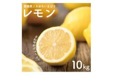 ＜先行予約＞瀬戸内レモン10kg　2L～M　JA選果品【1644241】