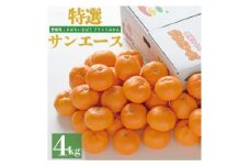 ＜先行予約＞特選温州みかん　サンエース4kg　2L～S　JA選果品【1644263】