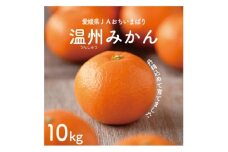 ＜先行予約＞瀬戸内の温州みかん10kg　L～S　JA選果品【1644274】