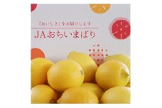 ＜先行予約＞瀬戸内レモン小箱　約2.5K　JA選果品　2L～Mサイズ【1644255】