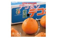 ＜先行予約＞瀬戸内のデコポン 約5kg 3L～L　18玉～24玉　JA選果品　上島・今治産　【1643861】