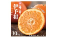 愛媛県産伊予柑 10kg　2L～L【1643766】