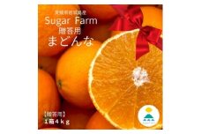 ＜贈答用＞シュガーファームのハウスまどんな4kg【1643725】