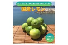 ＜先行予約11月発送～＞青いレモンの島　グリーンレモン約1kg【1651130】