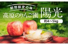 愛媛県久万高原町産「陽光りんご」約4～5kg　※2023年10月上旬頃～11月上旬頃に順次発送予定