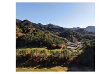ゴルフ チケット「ゴルフプレー券（平日・土日祝）」1枚｜スポーツ　レジャー 接待　イベント 友人 団体 ペア カップル 会社 個人 愛媛 久万高原町 久万カントリークラブ