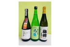 【愛媛県共通返礼品】ワイングラスで美味しい日本酒アワード2020プレミアム大吟醸の部 金賞受賞酒 呑み比べ ◇