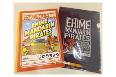 【愛媛県共通返礼品】愛媛マンダリンパイレーツ文具3点セット