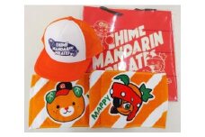 【愛媛県共通返礼品】愛媛マンダリンパイレーツ応援3点セット
