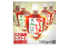 赤の元気「トマトケチャップ」5個セット 無添加◆｜完熟トマト 詰め合わせ 個包装 トマト とまと ケチャップ トマトケチャップ アレンジ アレンジ料理 万能 保存料不使用 完熟トマト 完熟 料理 調味料 濃い 多用途 おすすめ 人気 美味しい 万能調味料 ベジタブル 濃厚 野菜 ソース パスタ 無添加 愛媛 久万高原町 赤の元気 ※着日指定不可