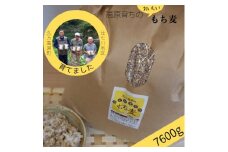 【仕七川育ちのもち麦 7,600g】清流と綺麗な土が育て、イナキ干しで仕上げた美味しいもち麦
※着日指定不可