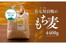 【仕七川育ちのもち麦 4,400g】清流と綺麗な土が育て、イナキ干しで仕上げた美味しいもち麦
※着日指定不可◇