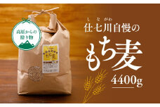 【仕七川育ちのもち麦 4,400g】清流と綺麗な土が育て、イナキ干しで仕上げた美味しいもち麦
※着日指定不可◇