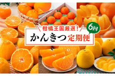 【定期便】【愛媛県共通返礼品】愛媛のかんきつ定期便（全6回）（日の丸みかん・紅まどんな・伊予柑・不知火・せとか・河内晩柑)｜みかん 蜜柑 日の丸みかん 紅まどんな 伊予柑 不知火 デコポン せとか 河内晩柑 柑橘 フルーツ 濃厚 甘味 甘い 愛媛みかん 国産 愛媛県産 果物 くだもの 絶品 美味しい お取り寄せ 愛媛 久万高原町 ※2025年11月下旬～2026年4月下旬頃に毎月1回発送