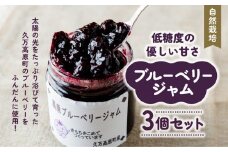 【自然栽培】農園こだわりのブルーベリージャム3個セット ｜ 愛媛県 久万高原町 廣瀬農園 高原栽培 国産 フルーツ ベリー ジャム 手作り 果肉感 果実たっぷり スムージー ヨーグルト 朝食 ビタミンC 食物繊維 プチギフト プレゼント お菓子作り ナチュラル 砂糖控えめ