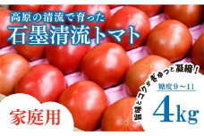 トマト 家庭用 そのままでも 美味しい 【石墨清流トマト】糖度9～11度 久万高原町　※離島への配送不可 ※2025年7月下旬頃より順次発送予定