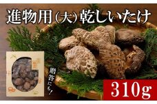 進物用乾しいたけ310g◇ ｜ 原木栽培 干し椎茸 乾椎茸 どんこ しいたけ きのこ 出汁 肉厚 贈答 愛媛 久万高原町　※離島への配送不可 ※2025年2月上旬より順次発送予定