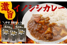 激旨イノシシカレー 5箱セット