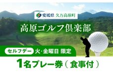 セルフデー限定プレー券1枚