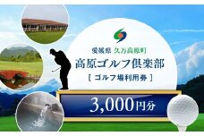 ゴルフプレー クーポン券（3,000円分）