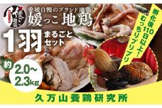 久万高原町産！愛媛ブランド地鶏「媛っこ地鶏」 1羽まるごと！平飼い ｜ モモ ムネ ササミ 内臓 手羽元 手羽先 もも むね 胸 ささみ 鶏肉 鳥肉　久万山養鶏研究所 ※離島への配送不可