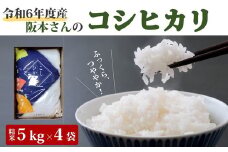 コシヒカリ 精米5kg×4袋 計20kg 令和6年産 ｜ 久万高原町 米 新米 お米 こめ コメ 愛媛 ※2024年9月中旬頃より順次発送予定 ※離島への配送不可