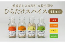 高校生開発「ひらたけスパイス」4本セット ｜ スパイス 香辛料 調味料セット BBQ ひらたけ SGDs 久万高原町