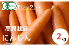 【産地直送】【先行予約】モルックサイズ！？ 特大にんじん（紅奏）2kg ｜ 人参 ニンジン ニンジンジュース 有機 JAS 高原野菜 久万高原町 ※離島への配送不可 ※2025年12月上旬～2026年2月上旬頃に順次発送予定
