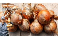 【先行予約】タマネギ 生島農園 いくしまさんのたまねぎ（5kg）サイズ無選別（たまねぎ、玉葱） ｜ 煮込み料理 常備菜 多用途 ※離島への配送不可 ※2025年7月上旬頃～11月下旬頃までに順次発送予定