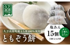【白餅6個＋よもぎ餅9個】ともぞう餅【塩あん15個】5個入３パック 白餅 よもぎ餅 選べるセット｜愛媛県 久万高原町 手作り 餅 もち 塩あん よもぎ スイーツ 和菓子 正月 雑煮 ぜんざい きな粉餅 甘くない 昔ながらの味 