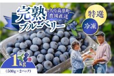 農園直送 完熟 手摘み 特選 冷凍 ブルーベリー 1kg ｜ 愛媛県 久万高原町 青木農園 高原栽培 国産 フルーツ ベリー ジャム おやつ 製菓用 スムージー ヨーグルト 朝食 ビタミンC 食物繊維 長期保存 ※2025年10月上旬頃より順次発送予定