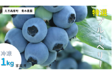 農園直送 完熟 オーガニック手摘み 家庭用 冷凍 ブルーベリー 1kg ｜ 愛媛県 久万高原町 廣瀬農園 自然派 高原栽培 国産 フルーツ ベリー おやつ 製菓用 スムージー ヨーグルト 朝食 ビタミンC 食物繊維 長期保存 ※2025年10月上旬頃より順次発送予定