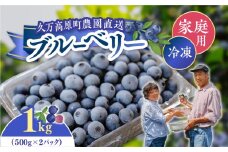 農園直送 手摘み 家庭用 冷凍 ブルーベリー 1kg ｜ 愛媛県 久万高原町 青木農園 高原栽培 国産 フルーツ ベリー ジャム おやつ 製菓用 スムージー ヨーグルト 朝食 ビタミンC 食物繊維 長期保存 ※2025年10月上旬頃より順次発送予定