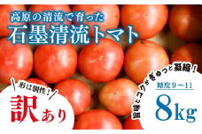 訳あり トマト 8kg そのままでも 美味しい 【石墨清流トマト】糖度9～11度 久万高原町 トマトソース｜トマト とまと 自然栽培 野菜 カレー トマトソース 濃縮 ヒナタ 安心 酸味 甘味 清流 料理 農家 トマト農家 旨み サンドイッチ サンドウィッチ 新鮮 煮込み 煮込み料理 アレンジ 美味しい 手作業 人気 ギフト プレゼント 自然 小長谷勝也 愛媛 久万高原町 ※離島への配送不可 ※2025年7月下旬頃より順次発送予定