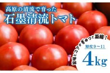 トマト4kg 贈答にもおすすめ そのままでも 美味しい 【石墨清流トマト】糖度9～11度 久万高原町｜トマト とまと トマト産地 ヒナタ ソース ジュース 自然栽培 野菜 安心 安全 旬 贅沢 酸味 甘味 清流 料理 農園 トマト農園 旨み 風味豊か 栄養たっぷり まるごと使用 スープ 煮込み 新鮮 アレンジ 美味しい 人気 おすすめ 贈答 ギフト プレゼント 愛媛 久万高原町　※離島への配送不可 ※2025年7月下旬頃より順次発送予定