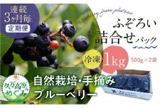 【3ヶ月定期便】農園直送 不揃い手摘み 冷凍 ブルーベリー 500g×2袋 計1kg 使い方いろいろ ｜ 愛媛県 久万高原町 廣瀬農園 自然派 高原栽培 国産 フルーツ おやつ 製菓用 スムージー ヨーグルト 朝食 ビタミンC 食物繊維 長期保存 　※離島への配送不可