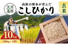 【R7年産新米】愛媛県 久万高原町 玄米10kg ｜ お米 コメ こめ 令和7年産 10kg 精米 ご飯 ごはん 朝食 昼食 家庭用 栄養 玄米 ※北海道・沖縄・離島への配送不可 ※2025年9月下旬頃より順次発送予定