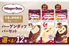 【セット内容が選べる】 定番 ＆ 期間限定フレーバー ハーゲンダッツ バー セット 12本入  Fセット〈バニラチョコレートマカデミア(4本)、ミックスベリー＆ミルク クランチ(4本)、芳醇ティラミスクランチ(4本)〉｜ハーゲンダッツ アイスクリーム ギフト セット 詰め合わせ バニラチョコレートマカデミア ミックスベリー＆ミルク クランチ 芳醇ティラミスクランチ 愛媛県 松前町
