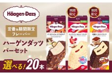 【セット内容が選べる】 定番 ＆ 期間限定フレーバー ハーゲンダッツ バー セット 20本入 Dセット 〈バニラチョコレートマカデミア(10本)、ミックスベリー＆ミルク クランチ(10本)〉｜ハーゲンダッツ アイスクリーム ギフト セット 詰め合わせ バニラチョコレートマカデミア ミックスベリー＆ミルク クランチ 芳醇ティラミスクランチ 愛媛県 松前町